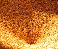 alternativeEnergienFooter